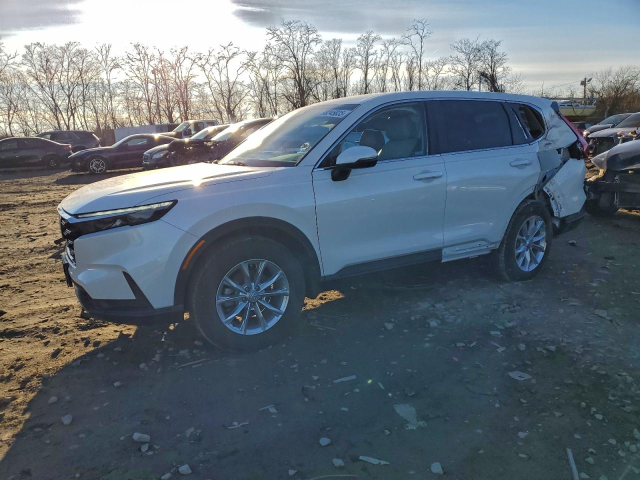 HONDA CR-V EX 2024