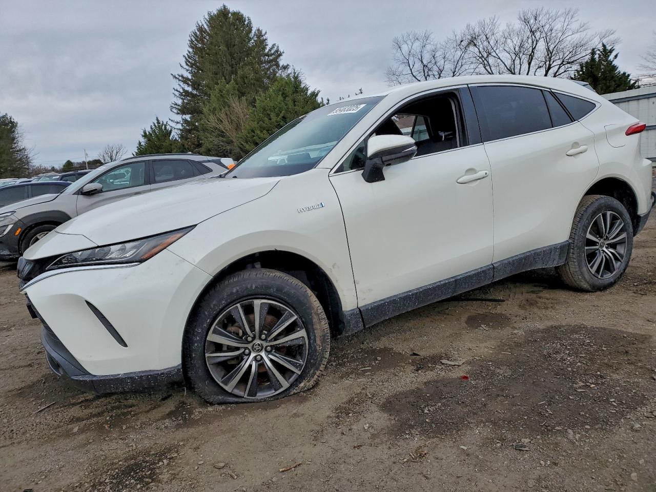 TOYOTA VENZA 2021