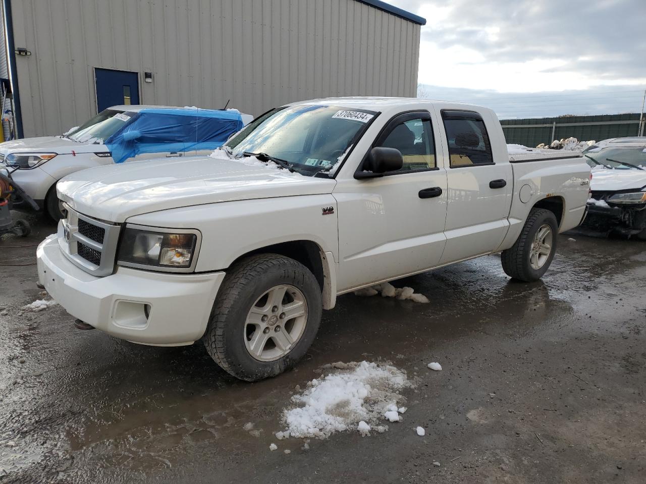 Dodge Dakota 2011