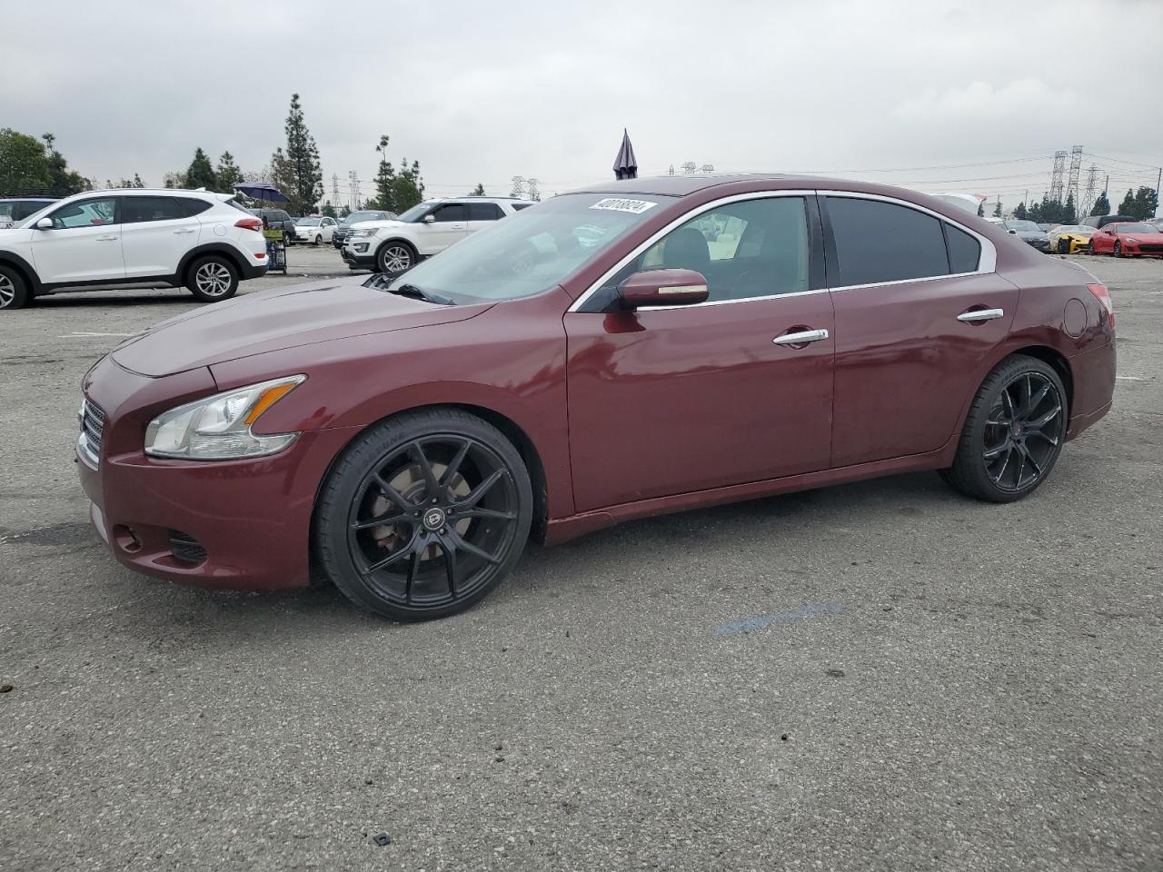 Nissan Maxima 2011