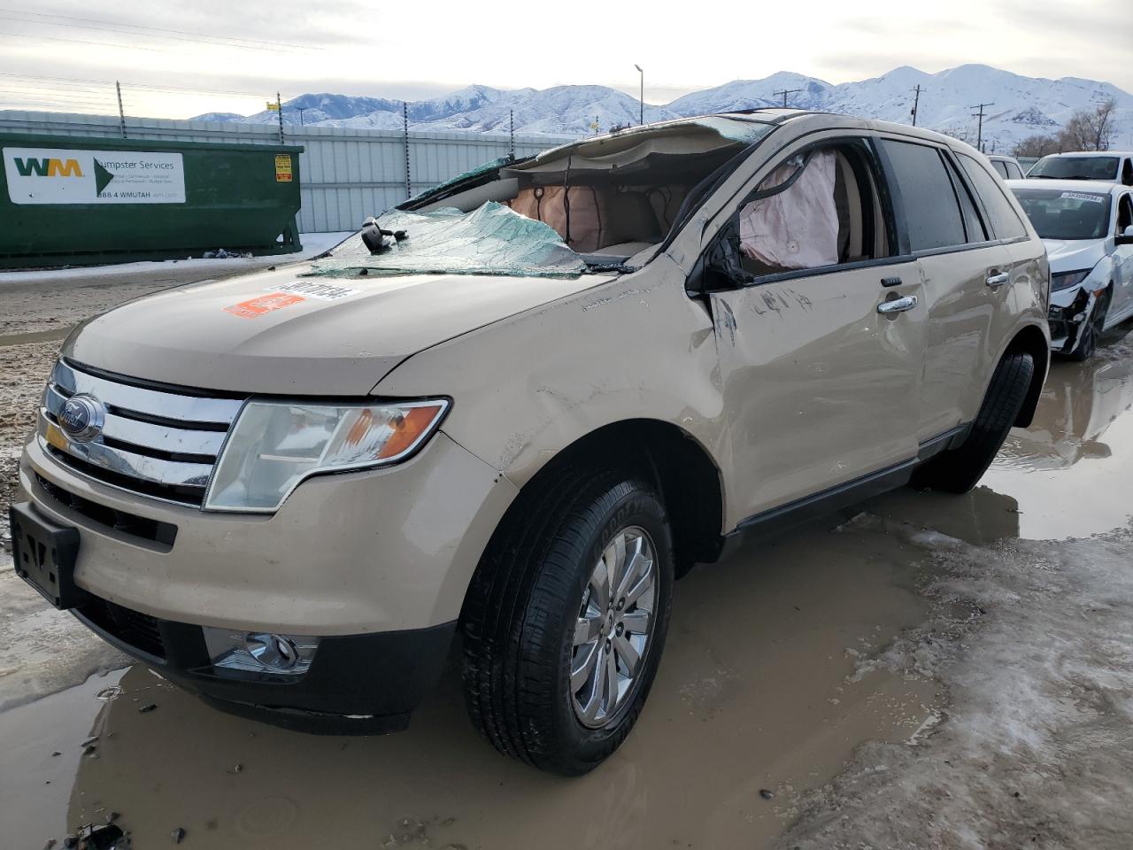 Ford Edge 2007