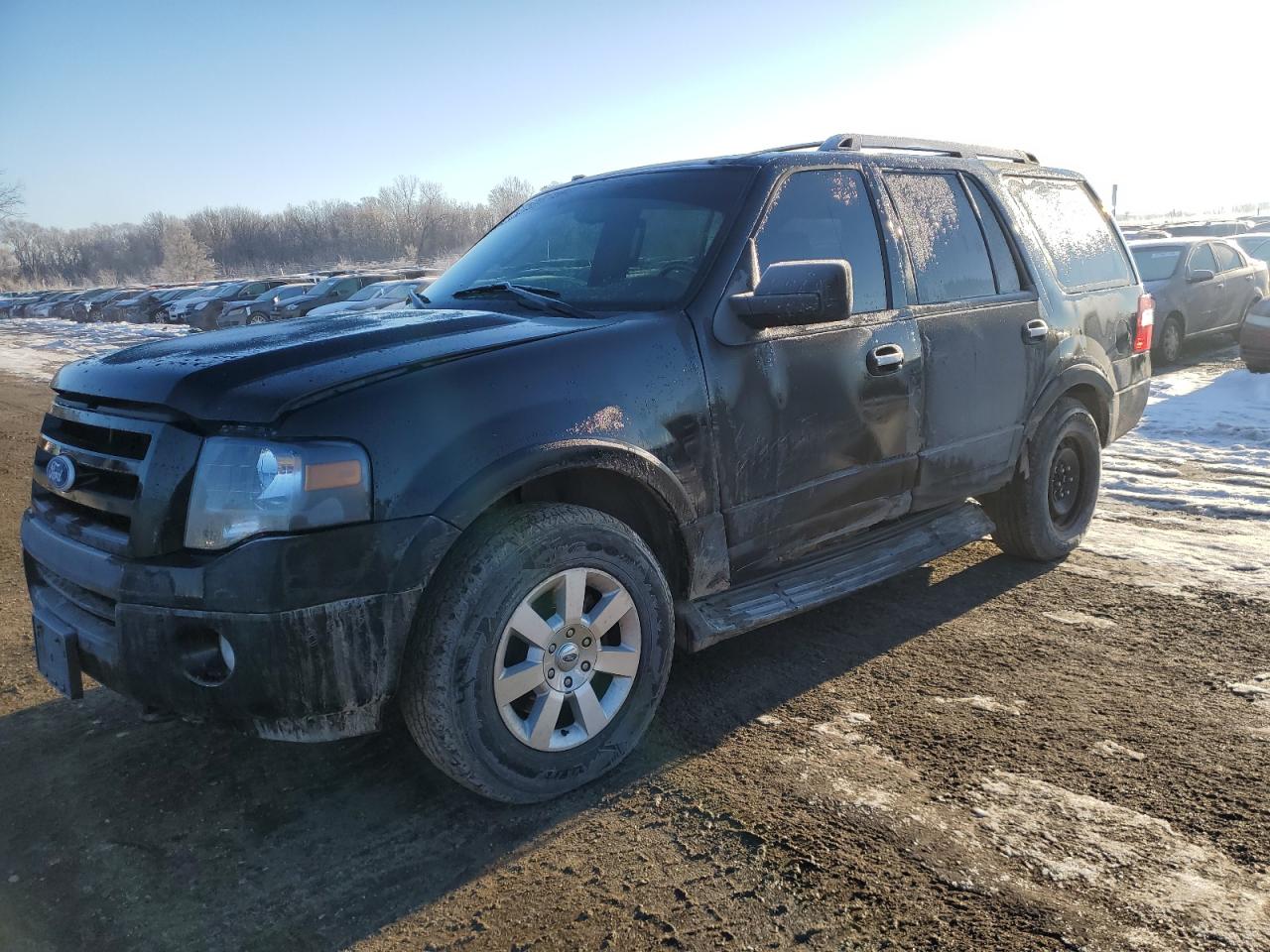 Ford Expedition 2010