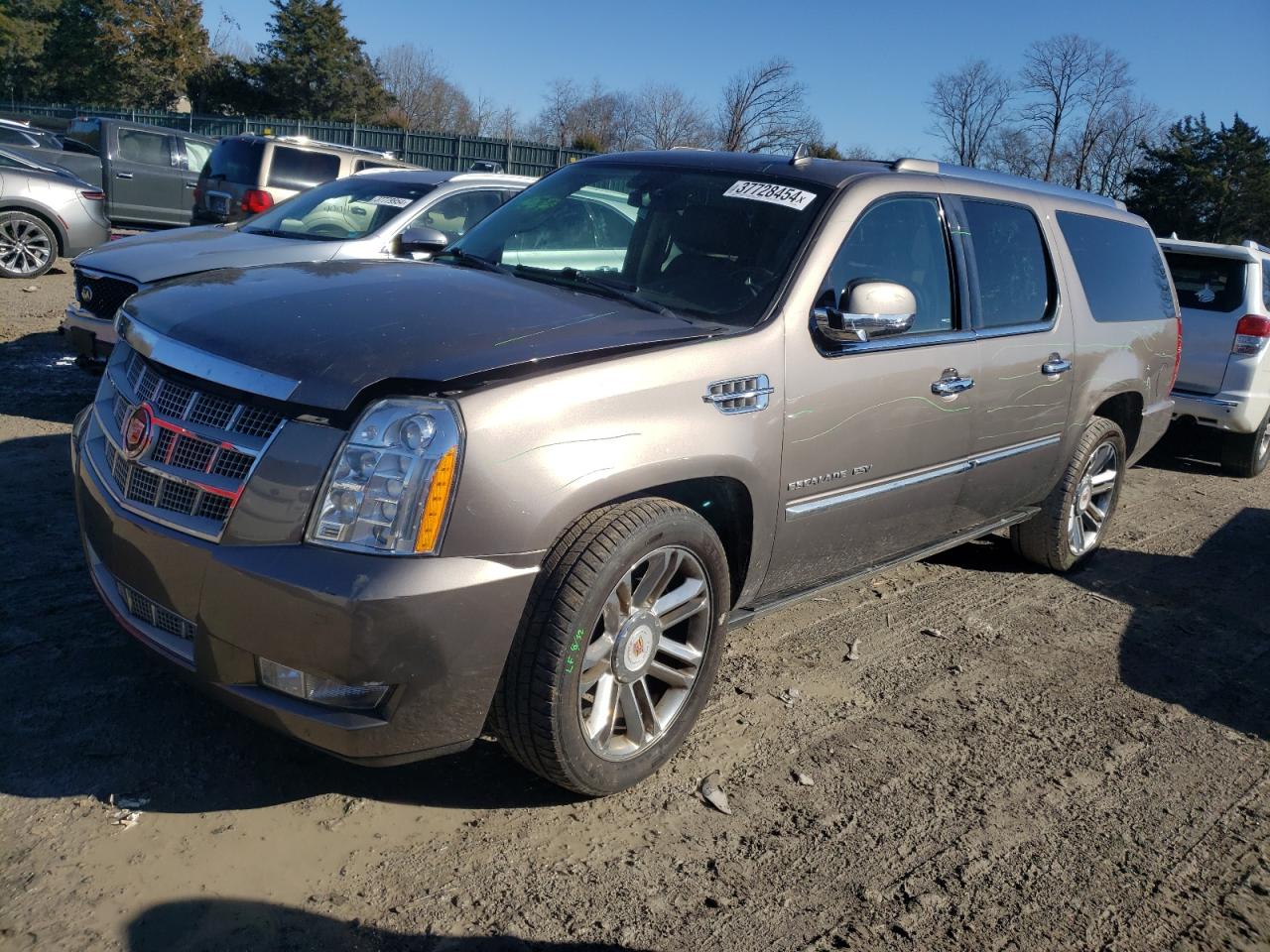 Cadillac Escalade esv 2013