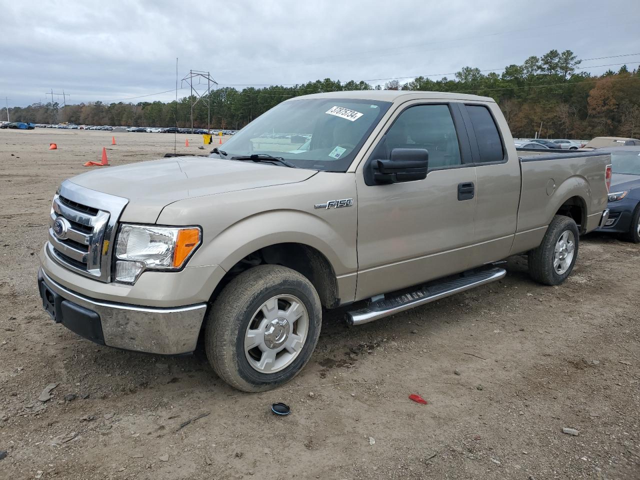 Ford F-150 2010