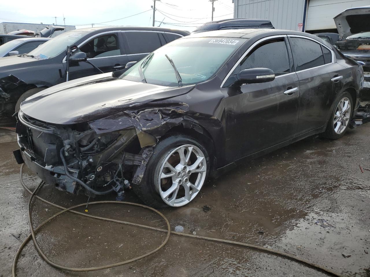 Nissan Maxima 2012