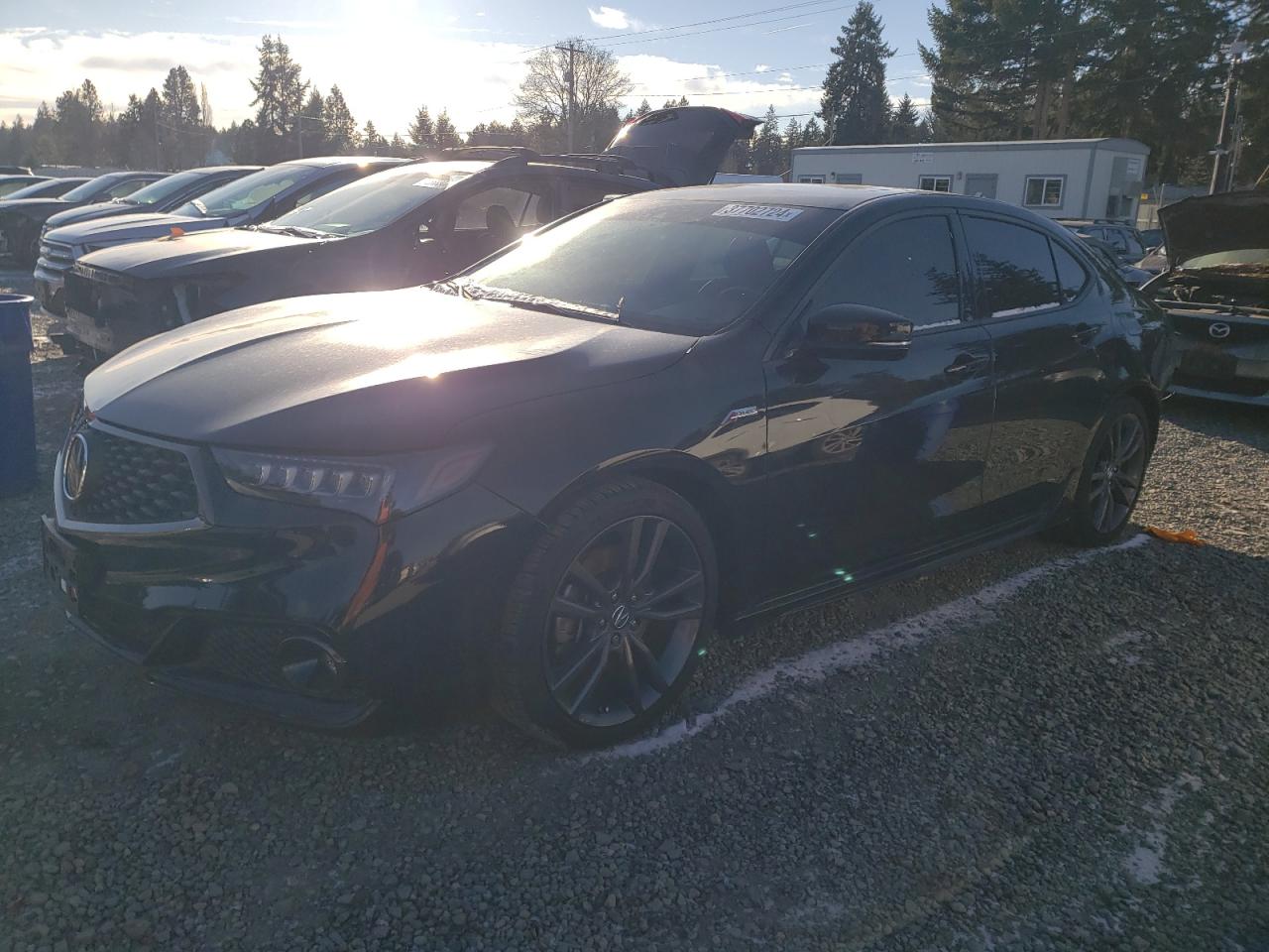Acura Tlx 2020