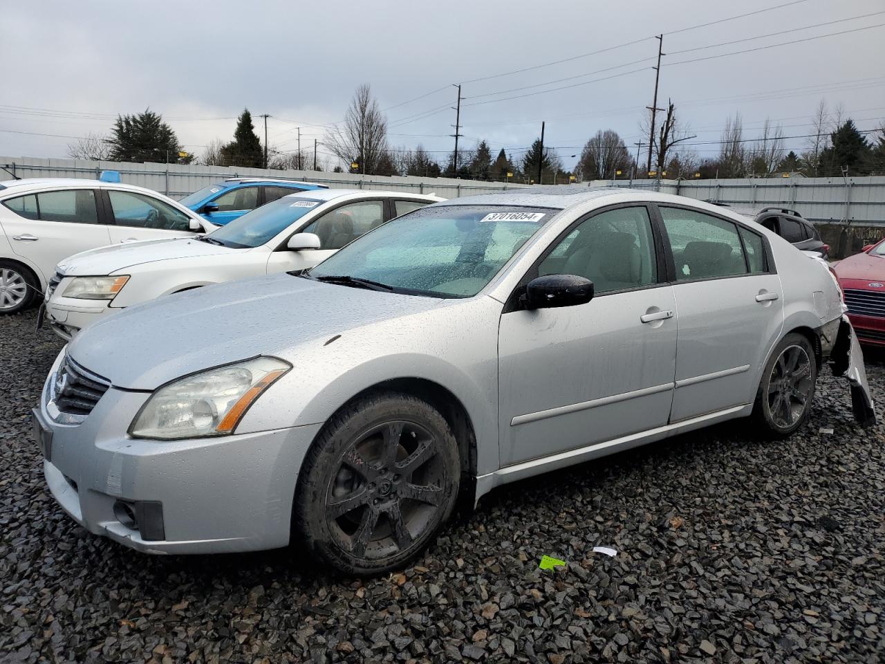 Nissan Maxima 2007