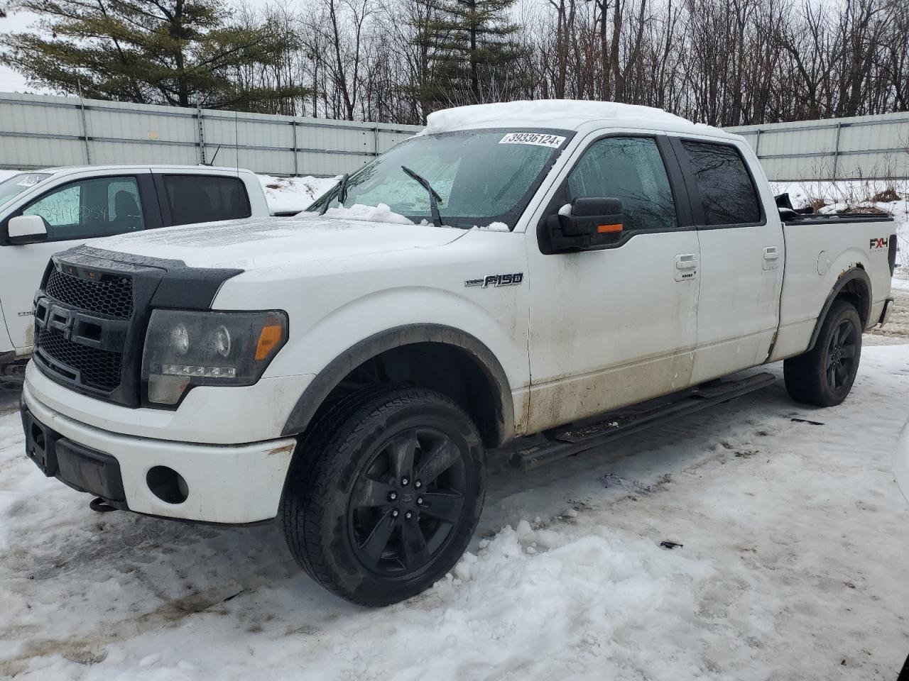 FORD F-150 2010