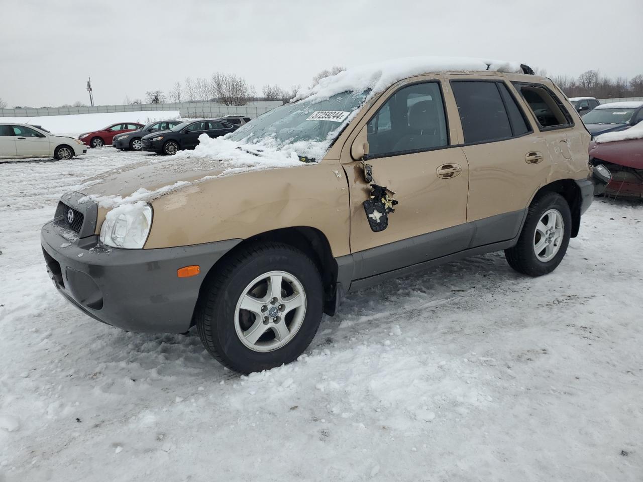 Hyundai Santa fe 2002