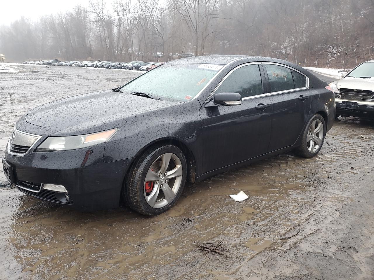 Acura Tl 2012