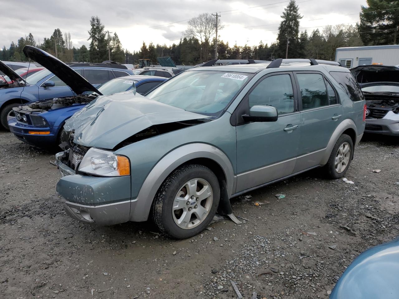 Ford Freestyle 2006