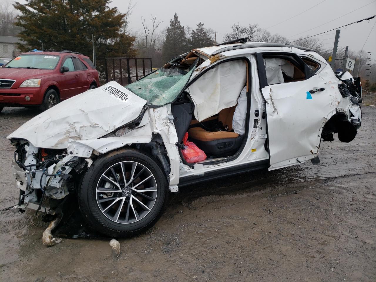 Lexus Nx 350 2023