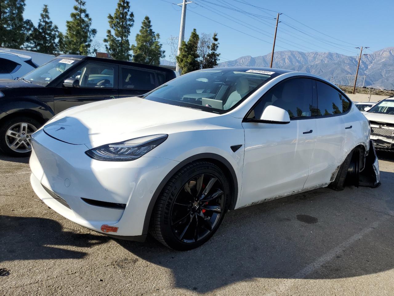 Tesla Model y 2020