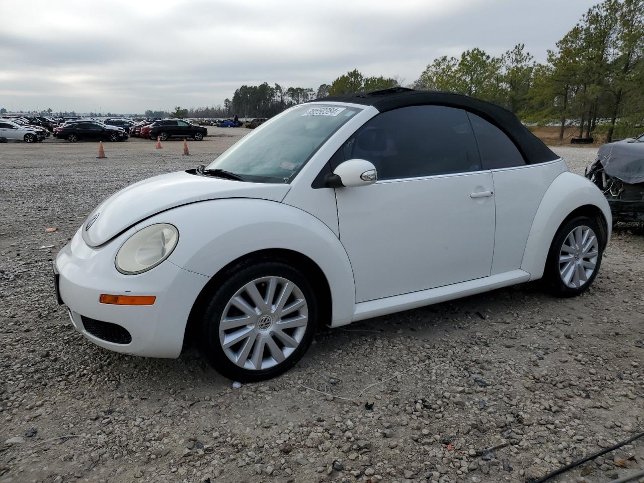 Volkswagen Beetle 2009