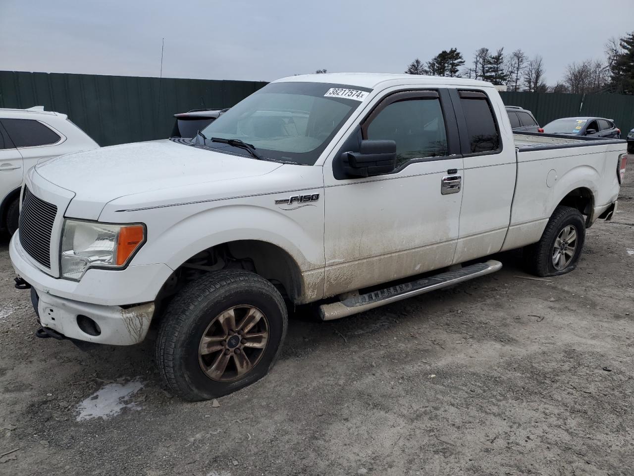 Ford F-150 2010
