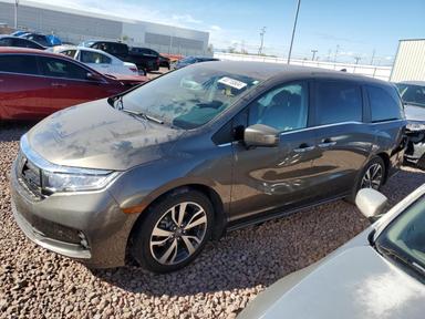 Honda Odyssey 2021