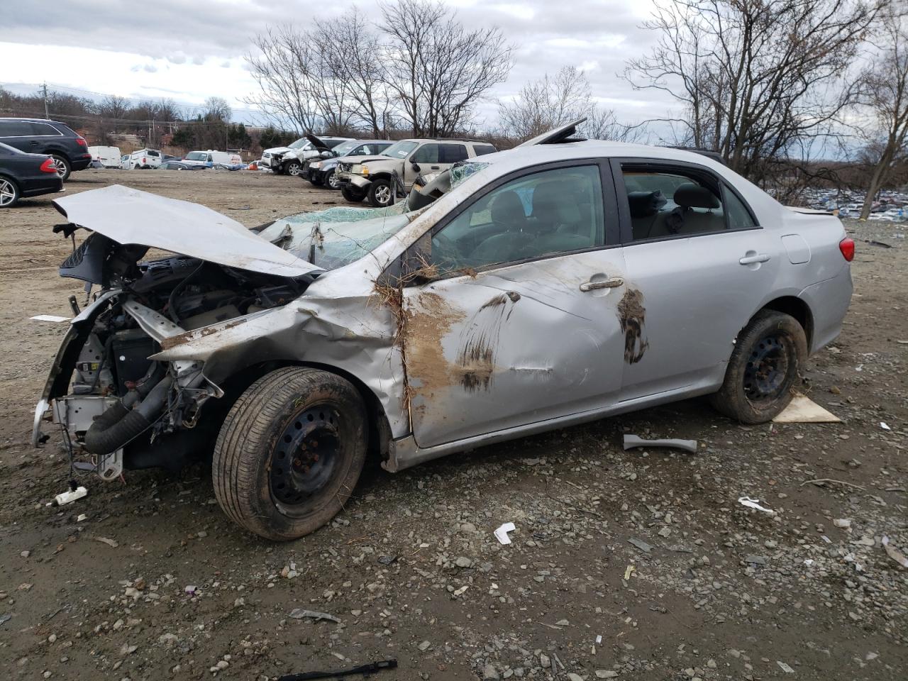 Toyota Corolla 2010