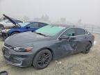 CHEVROLET MALIBU 2017