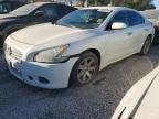 NISSAN MAXIMA 2014