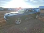DODGE CHALLENGER 2021