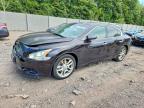 NISSAN MAXIMA 2011
