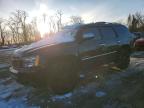 CHEVROLET TAHOE 2009