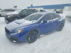 SUBARU WRX 2024