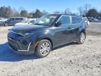 KIA SOUL 2024