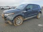 LAND ROVER RANGE ROVER EVOQUE 2019