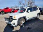 JEEP RENEGADE 2019
