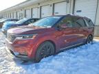 KIA CARNIVAL 2024