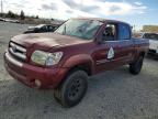 TOYOTA TUNDRA 2005