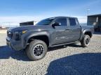 TOYOTA TACOMA 2025