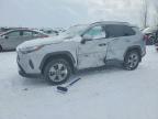TOYOTA RAV4 2024