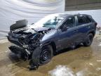 TOYOTA RAV4 2024