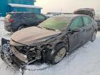TOYOTA CAMRY 2023