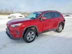 TOYOTA RAV4 2025