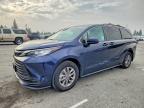 TOYOTA SIENNA 2022