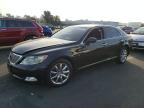 LEXUS LS 2007