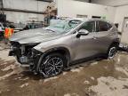 LEXUS NX 2025