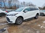 TOYOTA SIENNA 2024