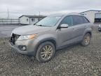 KIA SORENTO 2011