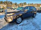 TOYOTA RAV4 2024
