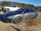 NISSAN MAXIMA 2009