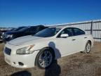 NISSAN MAXIMA 2014