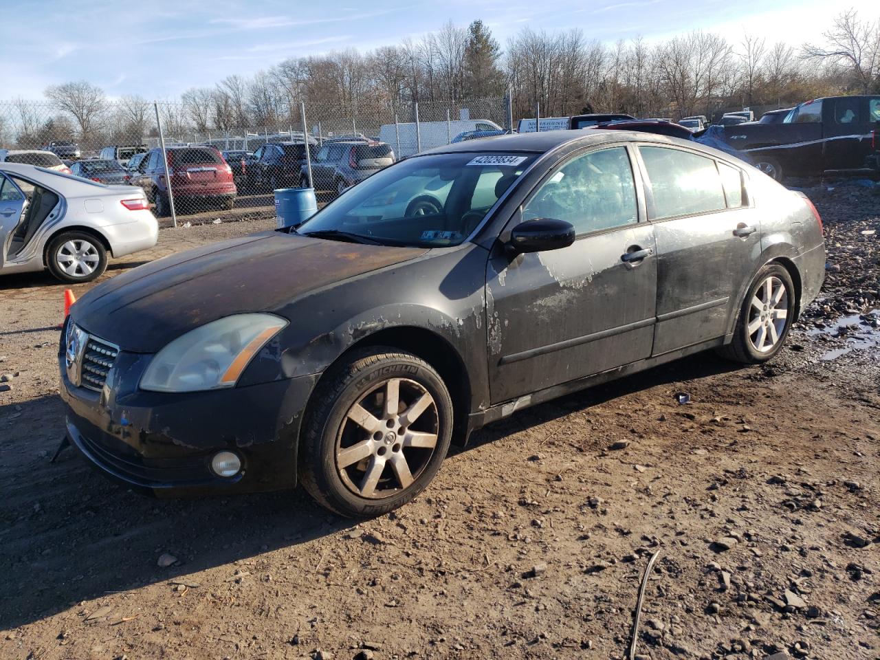 Nissan Maxima 2006