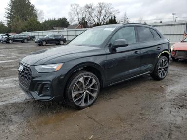 Audi Sq5 2024