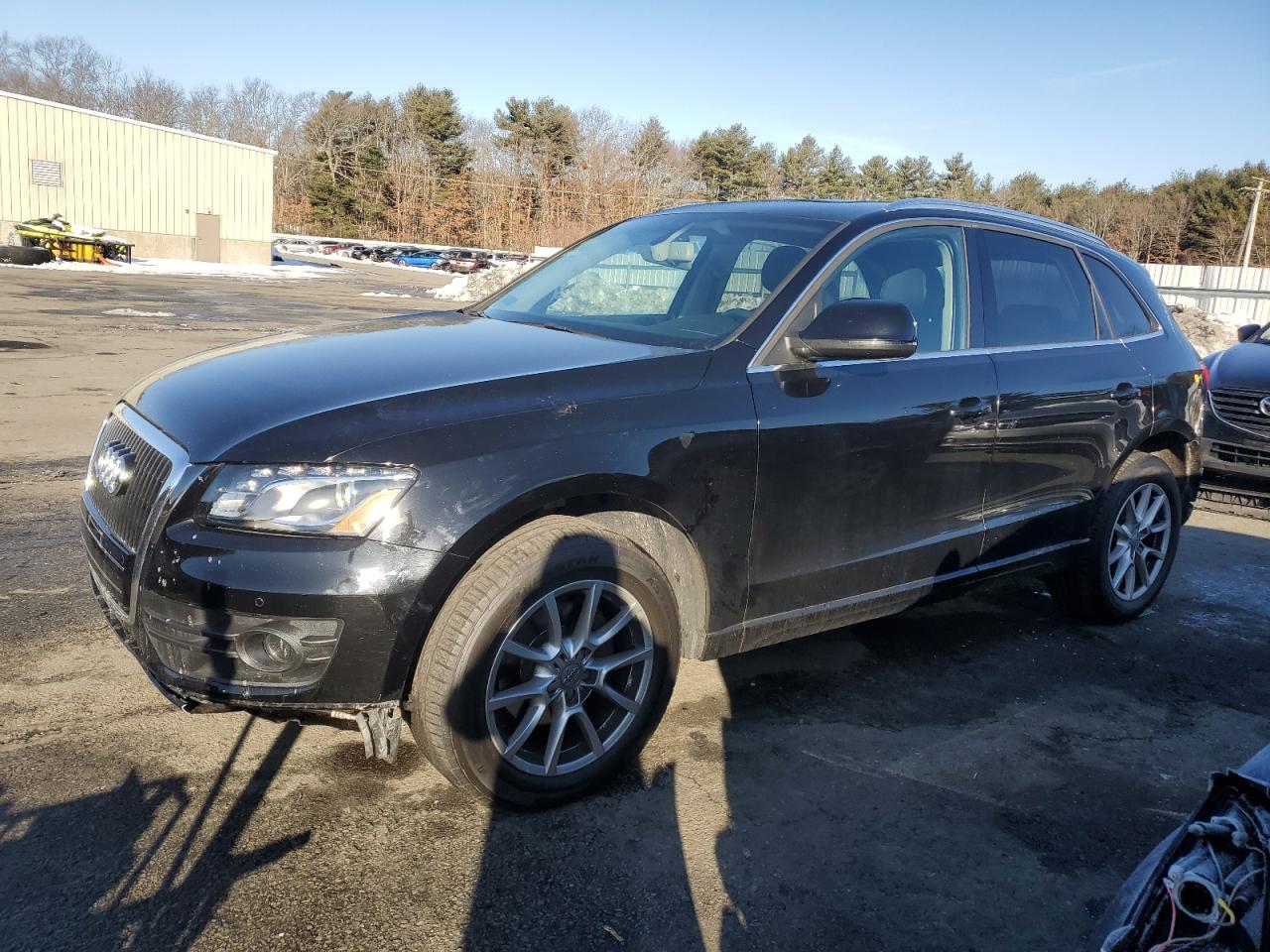 Audi Q5 2010