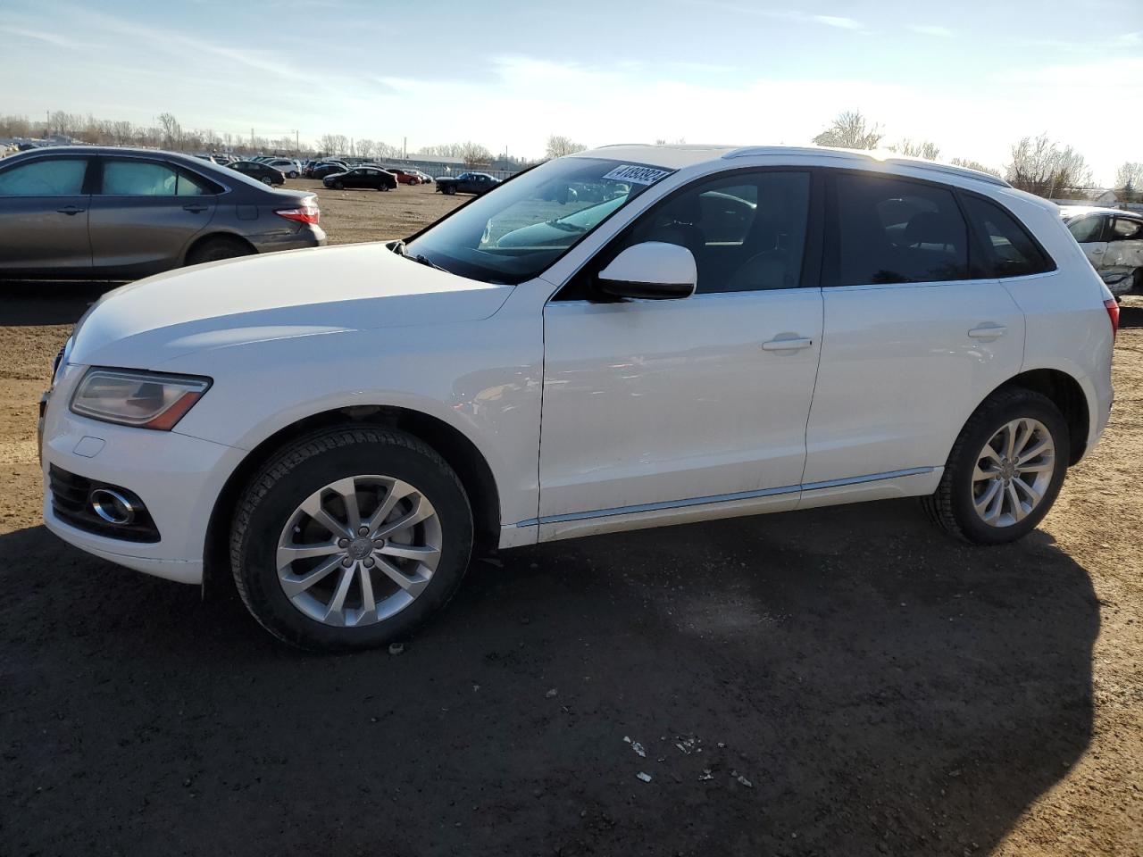 Audi Q5 2013