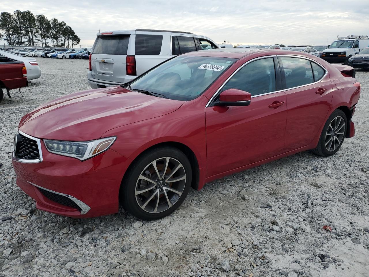 Acura Tlx 2019